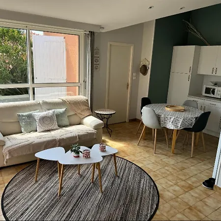 Maison Fonctionnelle Avec Jardin Et Parking Prive Aux Sables-d'olonne - Fr-1-197-619 Holiday home